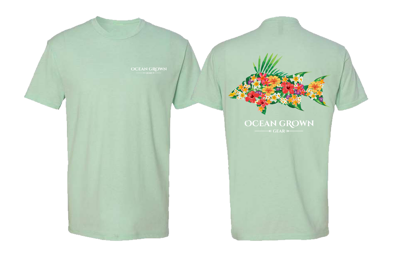 Hogfish - Seafoam